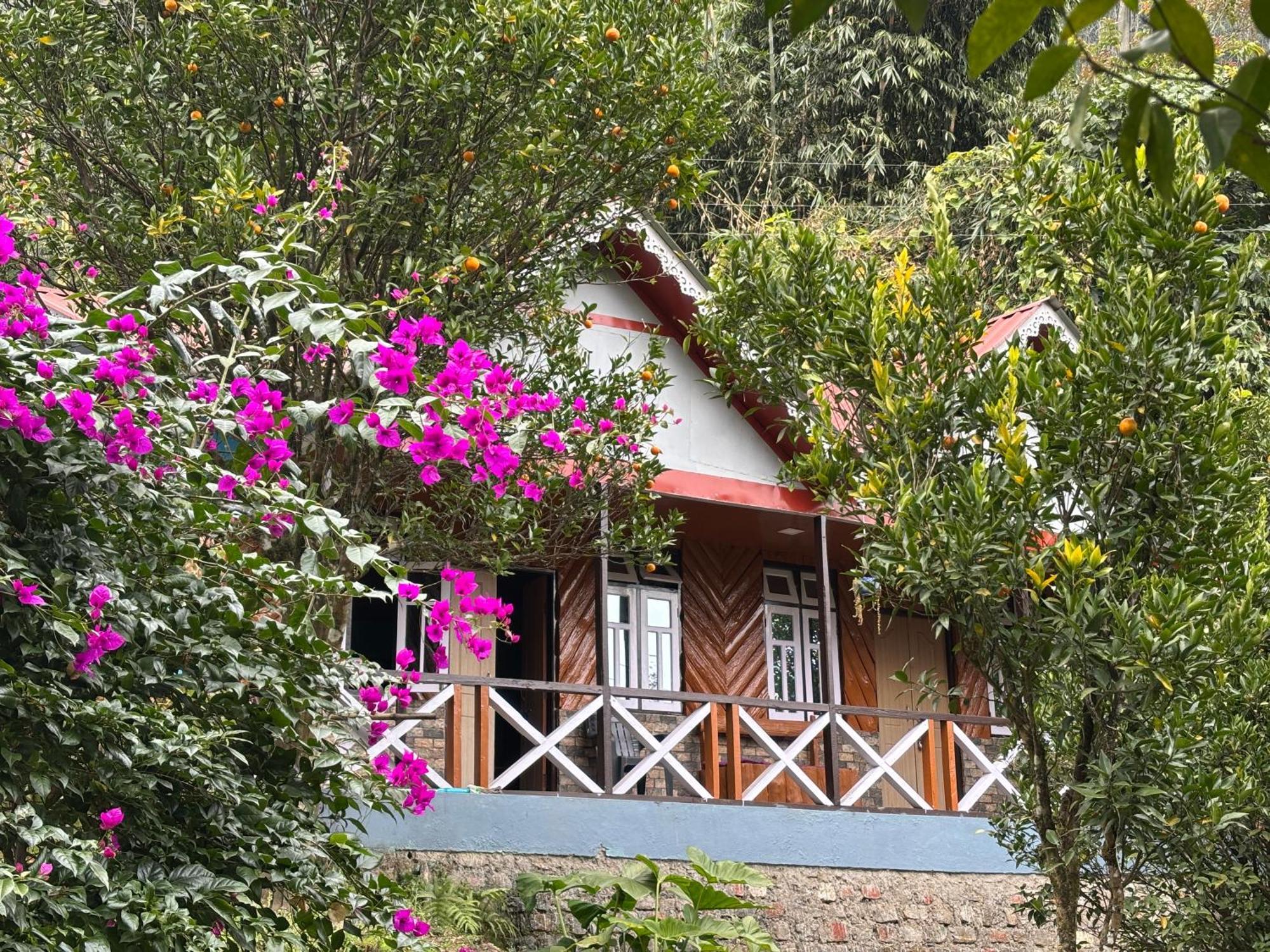 Odyssey Stays Rimbi Pelling Exterior photo